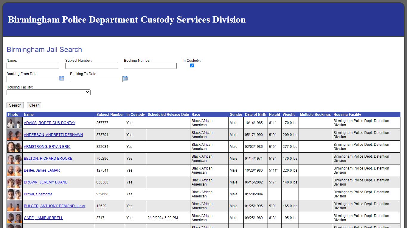 Birmingham Jail Search